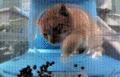 Thumbnail for version as of 21:59, 6 April 2025