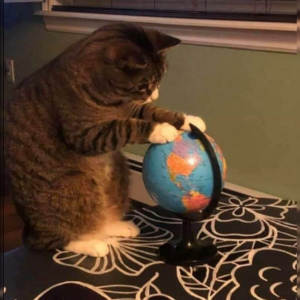 Cat geography.png