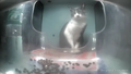 Thumbnail for version as of 19:19, 31 March 2025