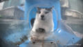 Mr. Ironman is judging the viewer.