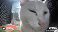 Up-close and Personal