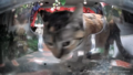Thumbnail for version as of 14:38, 10 April 2025
