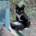 Coal Ball Baby sitting up like a person