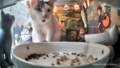 Noob's soul patch making him appear shocked as snacks fall into the bowl