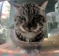 Thumbnail for version as of 18:35, 4 April 2025