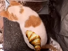 Mr. Croissant