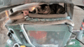 Thumbnail for version as of 00:07, 28 January 2025