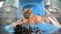 Thumbnail for version as of 19:25, 6 April 2025