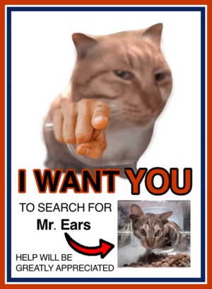 Mrearssearch.png