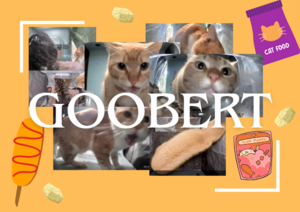 Goobert Collage.png