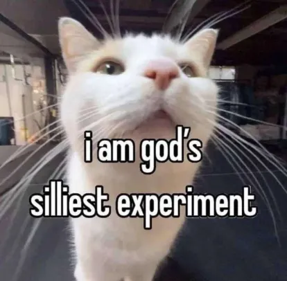 File:God's silliest experiment.webp