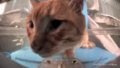 Thumbnail for version as of 19:26, 6 April 2025