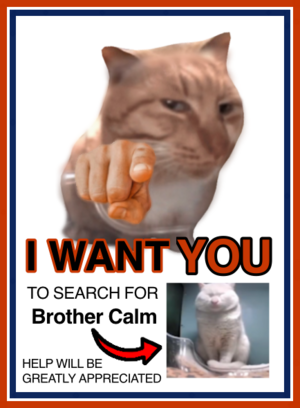 Brother Calm poster remade by Crystal (me) in ibispaint