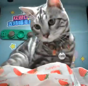 Spotfurcollar.png