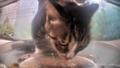 Mr. Quartz licking the empty bowl.