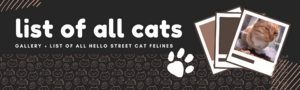 Allcatsfront.png