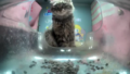 Thumbnail for version as of 12:55, 14 April 2025