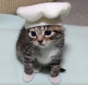 Chef kitty.png