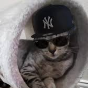 Yankees Cat.png