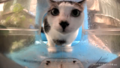 Ironman looks at the camera sadly.