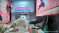 Thumbnail for version as of 12:37, 2 April 2025
